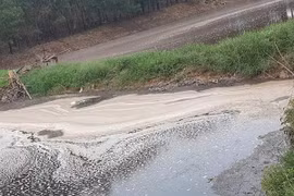 Nhà đầu tư Trung Quốc chuẩn bị xây nhà máy xử lý rác tại TP Bắc Giang