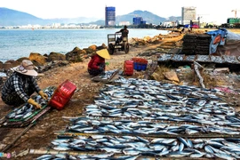 Khu lấn biển 120.000 m2 hoang phí 6 năm bên bờ biển Quy Nhơn