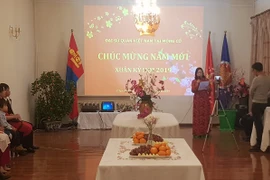 Tết sớm của người Việt tại Mông Cổ