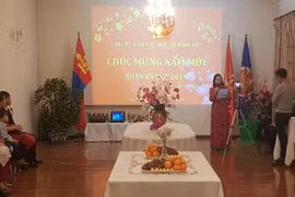 Tết sớm của người Việt tại Mông Cổ