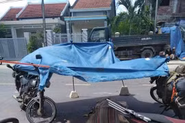 Ngã xuống đường, nữ du khách nước ngoài bị ôtô tải tông chết