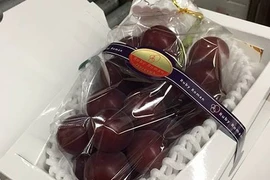 Giật mình chùm nho đắt nhất thế giới gần chục nghìn USD