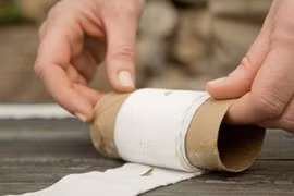 Trồng cây tại nhà bằng giấy vệ sinh siêu độc