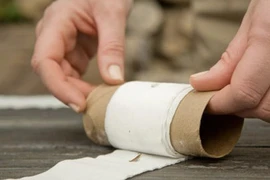 Trồng cây tại nhà bằng giấy vệ sinh siêu độc