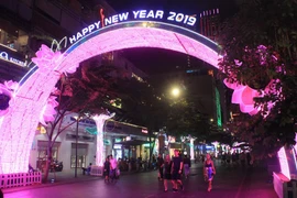 Đường phố TPHCM “khoác áo mới” rực rỡ đón Tết Kỷ Hợi