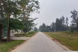 Thanh Hóa xóa rừng phòng hộ làm du lịch: Giao dự án cho công ty "ma"?