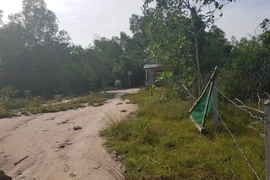 Về nhà nuôi mẹ bệnh, bị hàng xóm ngang nhiên chiếm đất