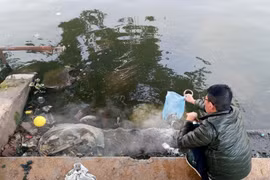 Mặt hồ ngập tro, rác thải vì người dân thả cá tiễn Táo quân