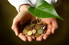 Kinh tế xanh cho phát triển bền vững trong bối cảnh biến đổi khi hậu 