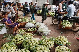 Hình ảnh ấn tượng trong chợ na lớn nhất miền Bắc