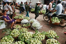 Hình ảnh ấn tượng trong chợ na lớn nhất miền Bắc