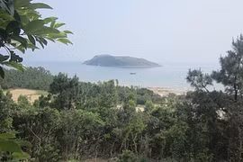 Thăm Vũng Chùa - Đảo Yến ngày đầu năm