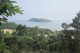 Thăm Vũng Chùa - Đảo Yến ngày đầu năm