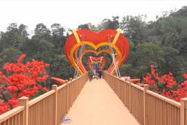 Cận cảnh cây cầu tình yêu bằng kính trong suốt đầu tiên ở Việt Nam