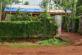 Đâm người trong mộng nhiều nhát rồi quỳ lạy xin tha thứ