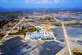 Chiêm ngưỡng 'cánh đồng điện' lớn nhất Việt Nam