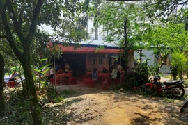 Chủ tịch Hội chữ thập đỏ xã bị ong đốt chết