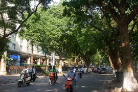 Bất chấp nắng nóng, những con đường Thủ đô này vẫn mát như điều hòa 