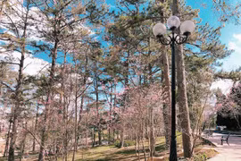 Ngôi trường đẹp mê hồn ở thành phố ngàn hoa của Việt Nam 