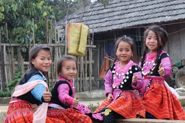 Khám phá điều thú vị trong Tết truyền thống của đồng bào Mông