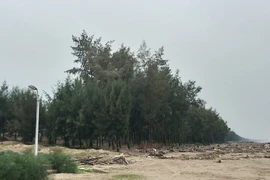 Thanh Hóa xóa rừng phòng hộ làm du lịch: Liệu có ban hành văn bản trái luật?