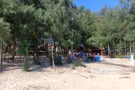 Thanh Hóa xóa rừng phòng hộ để làm dự án du lịch? 