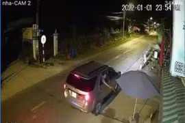 Nhóm đối tượng đi ô tô, dùng súng chích điện để trộm chó ở TP Hồ Chí Minh