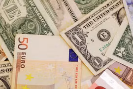 Tỷ giá USD, Euro ngày 25/11: USD tăng không ngừng, lên đỉnh mới