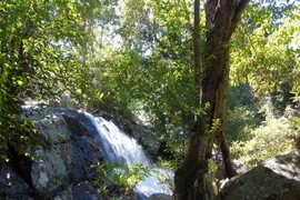 Dòng suối hoang sơ ít người biết tại xứ D’ran, Lâm Đồng