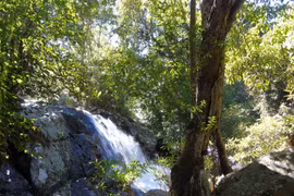 Dòng suối hoang sơ ít người biết tại xứ D’ran, Lâm Đồng