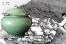 Đào huyệt thấy bình lá sen, đội khảo cổ tá hỏa phát hiện sự thật sốc 