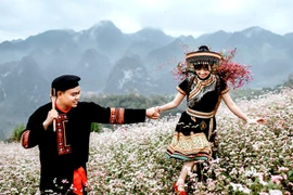 Người “thổi hồn” Cao nguyên đá Đồng Văn vào những bức ảnh lứa đôi