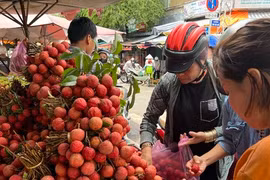 Giật mình với giá vải thiều ở TPHCM