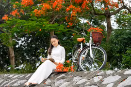 Bống “Hoa hồng trên ngực trái” thướt tha bên hoa phượng đỏ