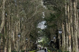 Khám phá 4 công trình kiến trúc cổ, ấn tượng tại Đà Lạt