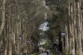 Khám phá 4 công trình kiến trúc cổ, ấn tượng tại Đà Lạt