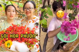 Hết gỏi gà măng cụt, loài hoa quen thuộc lại bị netizen réo tên