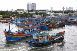 Đà Nẵng dừng cuộc họp không cần thiết để tập trung chống bão Noru