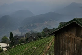 Khách sạn Phú Quốc, Đà Lạt không cháy phòng dịp Tết Dương lịch