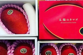 Hơn 2 triệu đồng/quả xoài màu đỏ, nhà giàu Việt chi tiền ăn sang