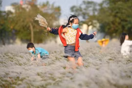 Dự báo thời tiết 23/10: Nắng ở cả 3 miền, Trung Bộ sắp đón đợt mưa lớn