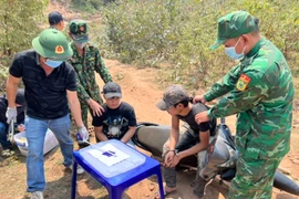 Góp tiền sang Lào mua ma túy về sử dụng thì bị bắt