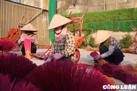 Rực rỡ làng hương Quảng Phú Cầu