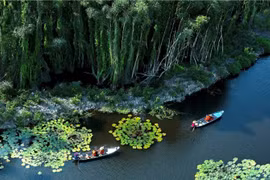 Làng nổi Tân Lập - vẻ đẹp miền Tây