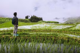 Thanh niên Trung Quốc vỡ mộng khi nghỉ hưu sớm, bỏ phố về quê