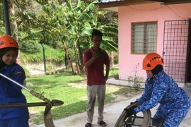 Thót tim cảnh người đàn ông dùng tay không bắt rắn