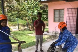 Thót tim cảnh người đàn ông dùng tay không bắt rắn