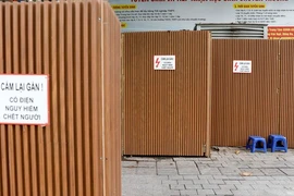 Bốt điện và bồn hoa tại Hà Nội “mặc áo giáp” nhựa giả gỗ