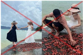 Bức xúc 2 cô gái bắt dàn sao biển phơi nắng chụp ảnh