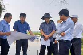 Quảng Nam thu hồi 2 dự án hơn 5.400 tỷ đồng của tập đoàn T&T